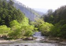 Trigrad gorge ©   Pandion Wild Tours